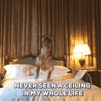blue ivy never seen a ceiling in my whole life GIF by Jasmyn Lawson, Editor