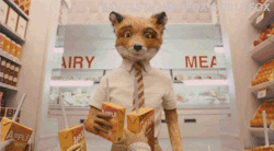 agreeing fantastic mr. fox GIF by 20th Century Fox Home Entertainment