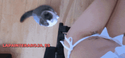 lapainteraroja  GIF