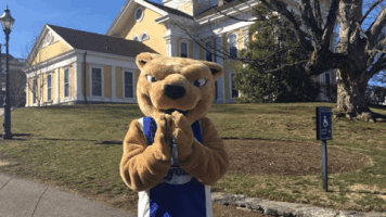 clapping mascot GIF by Wheaton College (MA)