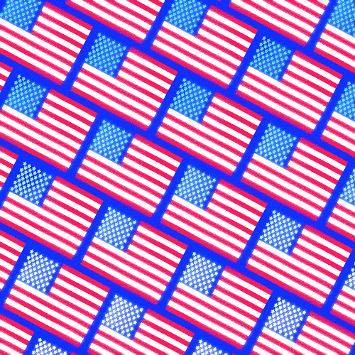 United States Usa GIF by Michael Shillingburg