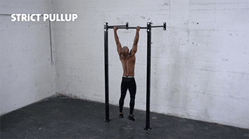 Freeletics-Gifs sports fitness workout training GIF