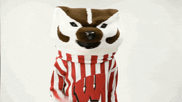 Wisconsin Badgers GIF by uwmadison