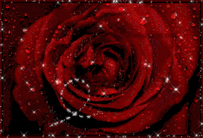 cristelvoneuw flowers GIF