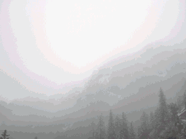 sid713  GIF