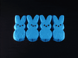 Marshmallow Peeps Candy GIF by Bronwyn Maloney