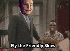 united airlines GIF by FirstAndMonday
