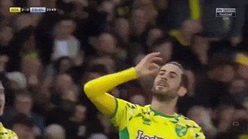 Premier League Salute GIF