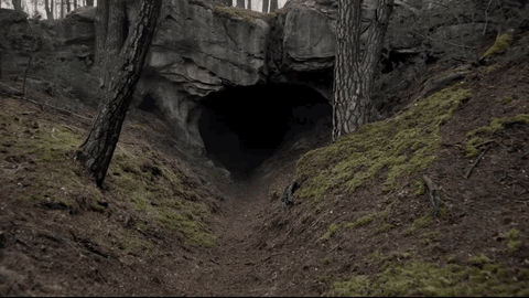 Cave Dark Netflix GIF - Find & Share on GIPHY