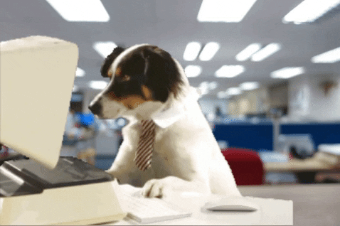 Office Worker GIFs - Get the best GIF on GIPHY
