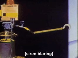 200.gif?cid=fc005b0840746d694e78e22e0e6ea775305ae8812855fa0b&rid=200.gif&ct=g
