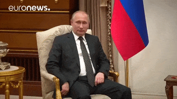 Vladimir Putin GIF by euronews