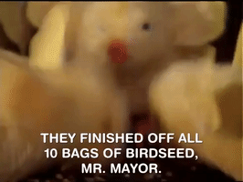 200.gif?cid=fc005b083c46d52f899054ce1f4ff4e673cf7f7b0f5e4c83&rid=200.gif&ct=g
