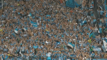 copa do brasil futebol GIF by Grêmio