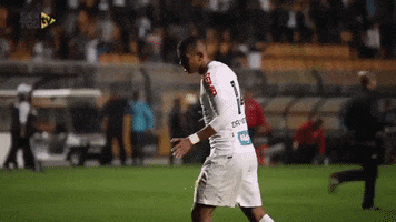 santos fc soccer GIF by Santos Futebol Clube