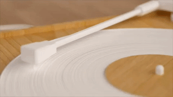 Mtv Animation GIF