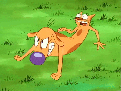Catdog GIFs - Get the best GIF on GIPHY