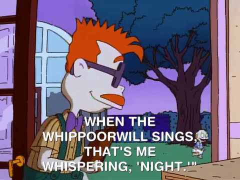 whippoorwill meme gif