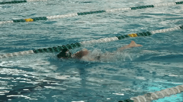 athletics freestyle GIF by GreenWave