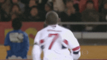 Rogerio Ceni Futebol GIF by São Paulo FC
