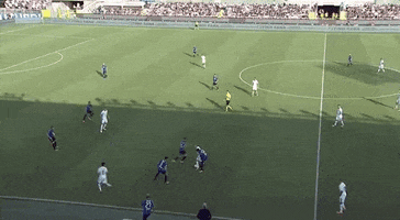 roma football soccer omg reactions GIF