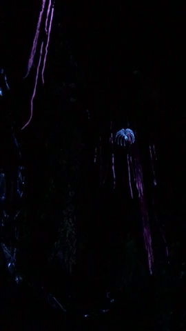 modelcitypolish visitpandora GIF