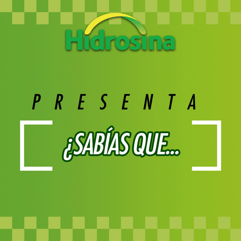 INCMexico f1 hidrosina mexico grand prix GIF