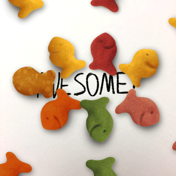 Awesome Goldfish Crackers GIF by Goldfish Find & Share on GIPHY