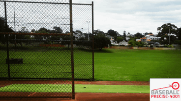 Baseball Pitching GIF