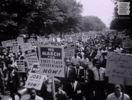 Voting Rights GIF by Smithsonian National Museum of African American History & Culture