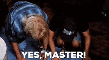 Bow Obey GIF