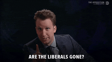 liberals lacroix GIF by The Opposition w/ Jordan Klepper