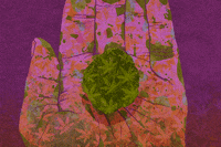 illustrate british artist GIF by Rebecca Hendin illustrate british artist GIF by Rebecca Hendin