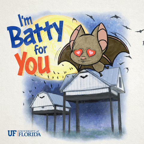 valentine bat GIF by University of Florida