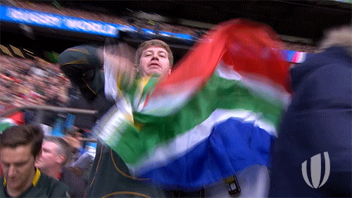 south africa fans GIF by World Rugby