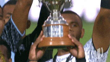 rugby sevens trophy GIF by World Rugby