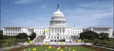 Independence Day Senate GIF by Clitter
