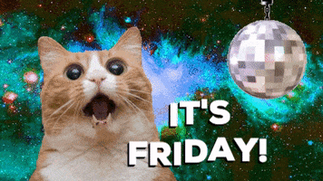 Disco Cat GIFs - Find & Share on GIPHY