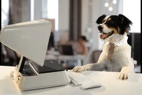 Working Dog Waiting GIF