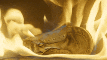 200.gif?cid=fc005b0883b4008fb7a0dd049647480a61ddfeb099f93f2b&rid=200.gif&ct=g