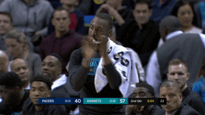 charlotte hornets yes GIF by NBA