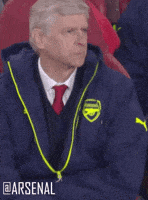 premier league football GIF by Arsenal