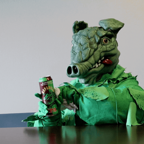 Dillodillo GIF