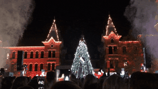 Christmas Tree Lighting GIF by Baylor University