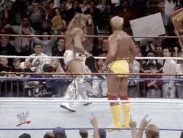 Hulk Hogan GIF by WWE