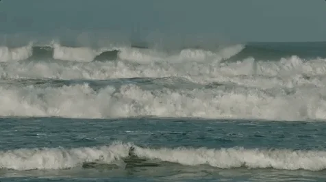 everything beautiful is far away ocean GIF by The Orchard Films