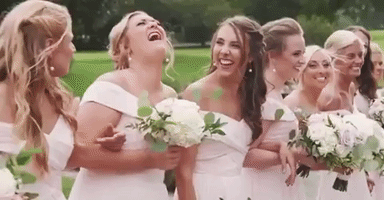 Wedding Bridesmaids GIF