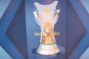 Campeonato Brasileiro Premio Brasileirao GIF by Confederação Brasileira de Futebol
