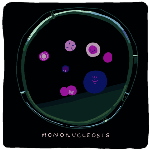 mononucleosis meme gif