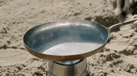 Bird Bath Porn - Grilling GIFs - Get the best GIF on GIPHY